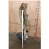 Image 8 : Life-sized BOBCAT on a Log Base