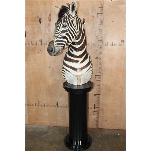 ZEBRA Pedestal Mount