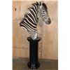 Image 3 : ZEBRA Pedestal Mount
