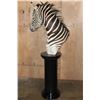 Image 4 : ZEBRA Pedestal Mount