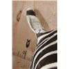 Image 5 : ZEBRA Pedestal Mount