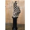 Image 6 : ZEBRA Pedestal Mount