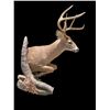 Image 2 : Big 7-Point "Leaping" Half-body WHITETAIL DEER on a Natural Habitat Base