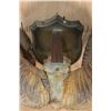 Image 8 : *TEXAS RESIDENTS ONLY* XXL ARGALI Skull mounted on a Wood Plaque
