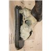 Image 6 : *TEXAS RESIDENTS ONLY* SULEMAN MARKHOR Partial Skull on a Wood Plaque