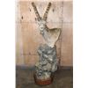 Image 2 : Big SIBERIAN IBEX or ASIAN IBEX on a Decorative Pedestal Mount
