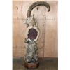 Image 4 : Big SIBERIAN IBEX or ASIAN IBEX on a Decorative Pedestal Mount
