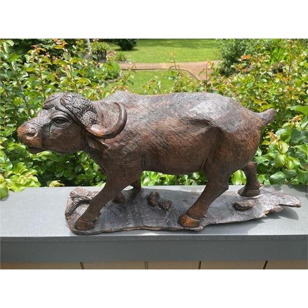 Huge Ironwood AFRICAN CAPE BUFFALO Carving