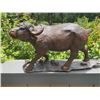 Image 3 : Huge Ironwood AFRICAN CAPE BUFFALO Carving