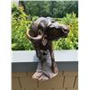 Image 4 : Huge Ironwood AFRICAN CAPE BUFFALO Carving