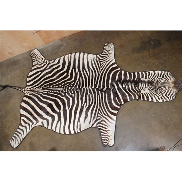 ZEBRA Hide Rug with Carpet Backing and Leather Piping