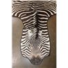 Image 3 : ZEBRA Hide Rug with Carpet Backing and Leather Piping