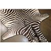 Image 4 : ZEBRA Hide Rug with Carpet Backing and Leather Piping