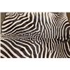 Image 6 : ZEBRA Hide Rug with Carpet Backing and Leather Piping