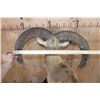 Image 5 : RED SHEEP Ram Table Pedestal Mount