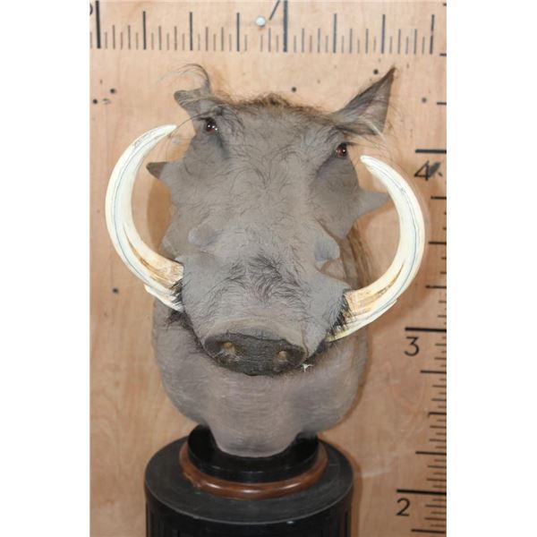 XXL WARTHOG Table Pedestal Mount