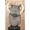 Image 2 : XXL WARTHOG Table Pedestal Mount