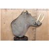 Image 3 : XXL WARTHOG Table Pedestal Mount