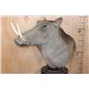 Image 4 : XXL WARTHOG Table Pedestal Mount