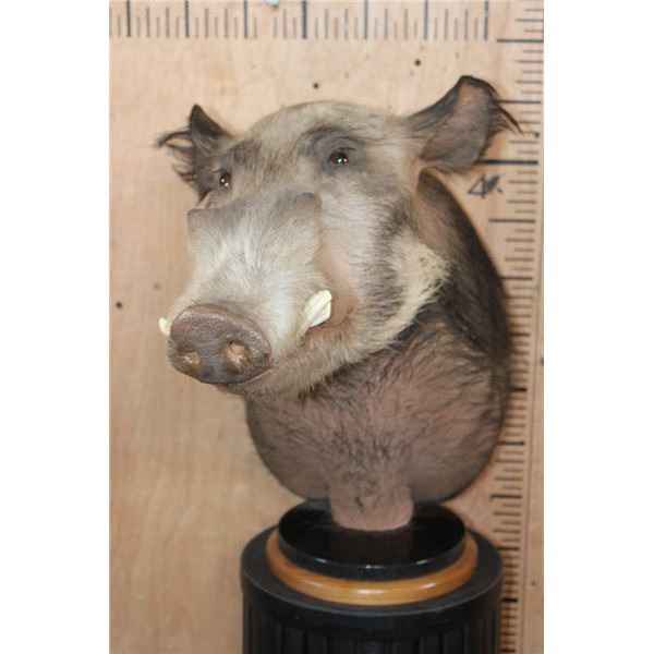 BUSHPIG Table Pedestal Mount