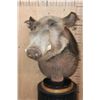 Image 1 : BUSHPIG Table Pedestal Mount