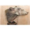 Image 3 : BUSHPIG Table Pedestal Mount