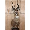 Image 1 : FOREST SITATUNGA Table Pedestal Mount