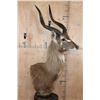 Image 2 : FOREST SITATUNGA Table Pedestal Mount
