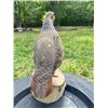 Image 6 : HUNGARIAN PARTRIDGE Bird Mounted on a Log Slice Base