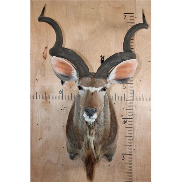 KUDU Shoulder Mount
