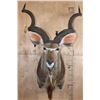 Image 1 : KUDU Shoulder Mount