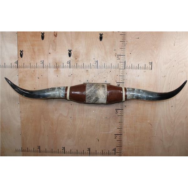 Big Set of Polished LONGHORNS with Cowhide and Leather Accents