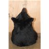 Image 5 : BLACK BEAR Shoulder Mount