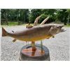 Image 1 : Monster Sized *Real Skin* BROWN TROUT Fish Mount on a Decorative Habitat Base