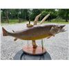 Image 6 : Monster Sized *Real Skin* BROWN TROUT Fish Mount on a Decorative Habitat Base