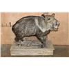 Image 2 : Life-sized JAVELINA on a Rustic Wood Base