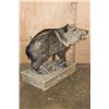 Image 3 : Life-sized JAVELINA on a Rustic Wood Base