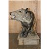 Image 4 : Life-sized JAVELINA on a Rustic Wood Base