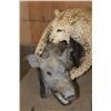 Image 4 : *TEXAS RESIDENTS ONLY* Life-sized LEOPARD "Attacking" a BUSHPIG on a Stationary Base