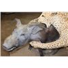 Image 5 : *TEXAS RESIDENTS ONLY* Life-sized LEOPARD "Attacking" a BUSHPIG on a Stationary Base