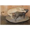 Image 8 : *TEXAS RESIDENTS ONLY* Life-sized LEOPARD "Attacking" a BUSHPIG on a Stationary Base