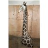 Image 10 : GIRAFFE Floor Pedestal Mount