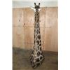 Image 11 : GIRAFFE Floor Pedestal Mount