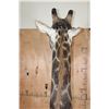 Image 12 : GIRAFFE Floor Pedestal Mount