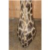 Image 13 : GIRAFFE Floor Pedestal Mount