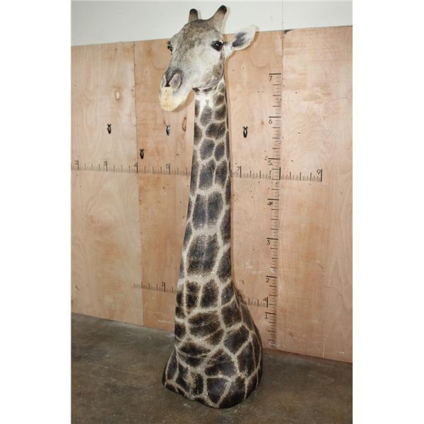 GIRAFFE Floor Pedestal Mount