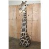 Image 1 : GIRAFFE Floor Pedestal Mount