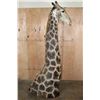 Image 4 : GIRAFFE Floor Pedestal Mount