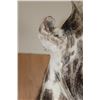 Image 6 : GIRAFFE Floor Pedestal Mount