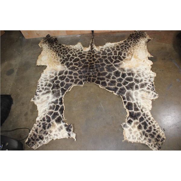 GIRAFFE Back and Leg Hide